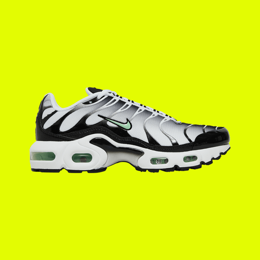 NIKE AIR MAX PLUS TN ‘Fresh Mint’