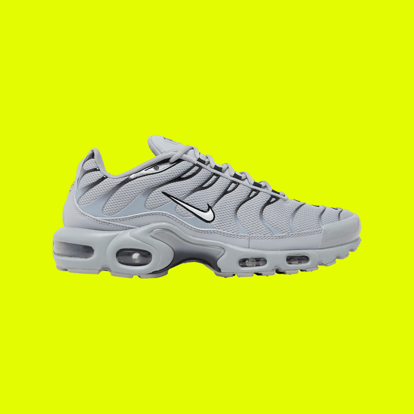 NIKE AIR MAX PLUS TN ‘Wolf Grey’